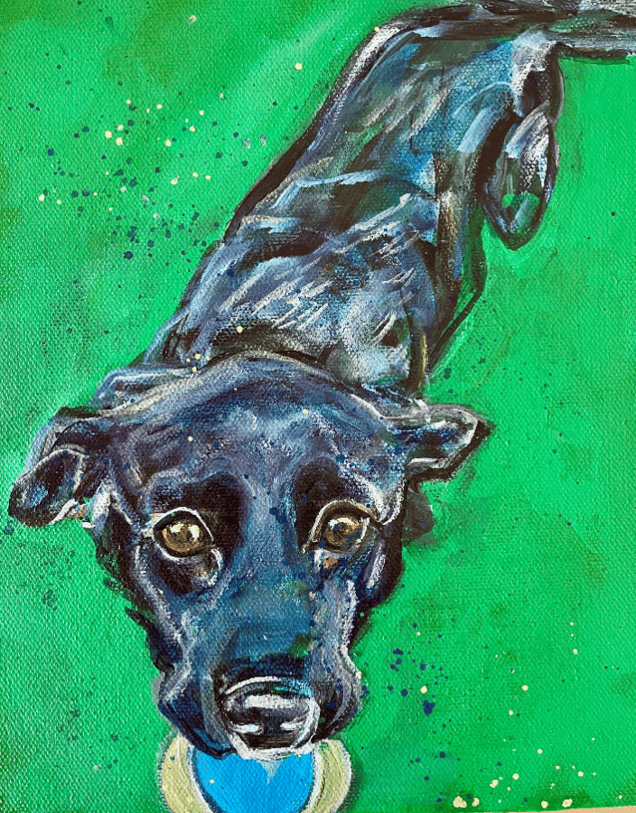 Dog with ball commission