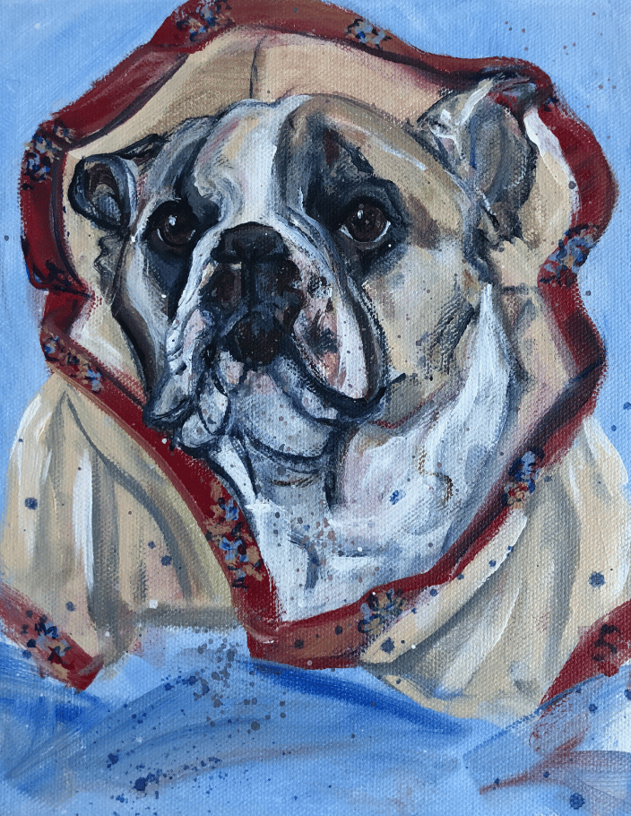dog in robe