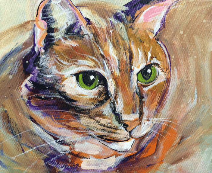 kitty