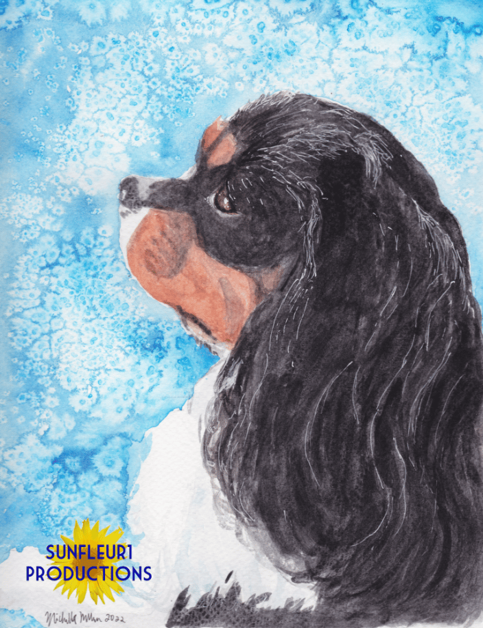 King Charles Spaniel