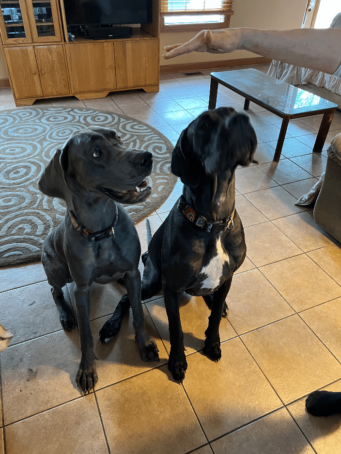 Stevie and Connie look forward to their massages