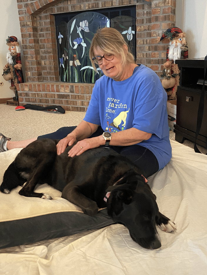 Miss Ivy is one of my favorite Demo Dogs when I am helping assist a training session for Canis Bodyworks.