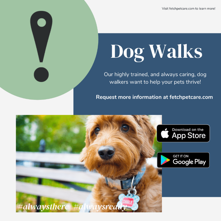 dog walks
