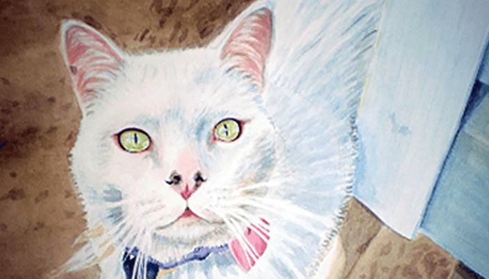 A memorial portrait of my sister-in-law's cat Auggie.