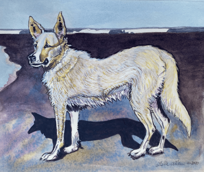 Watercolor of a dog on the beach
