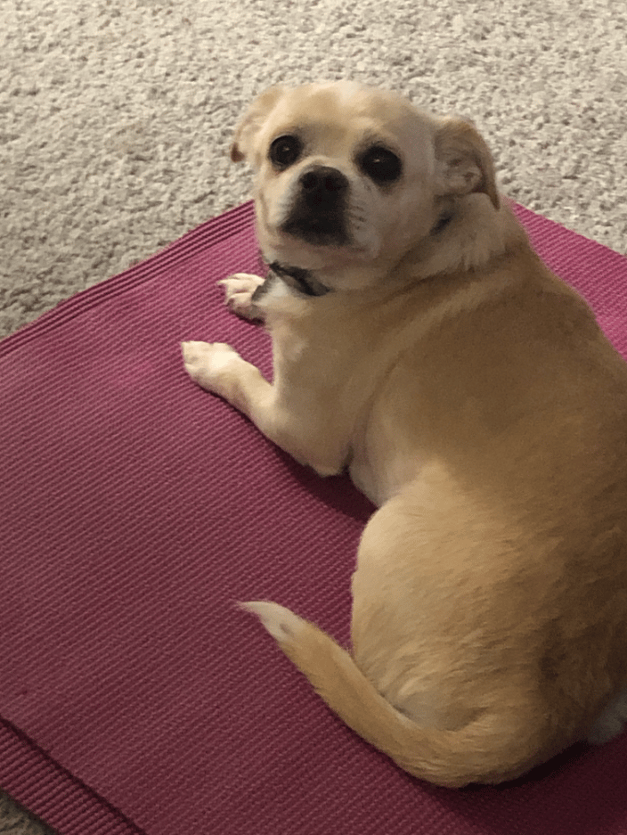 Edison, My Medicine, 12 years