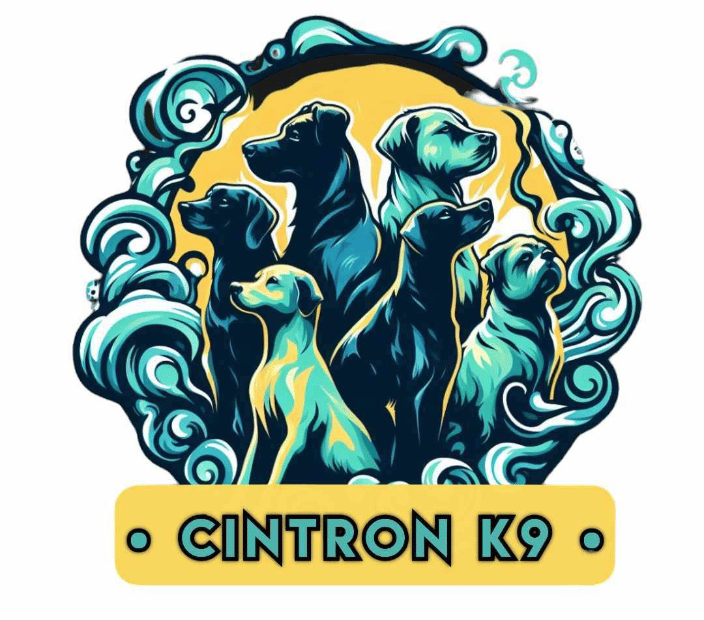 Cintron K9 Logo