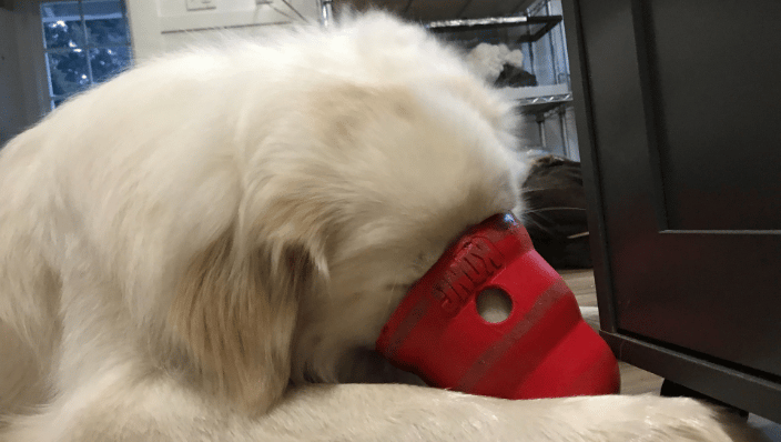 Enrichment