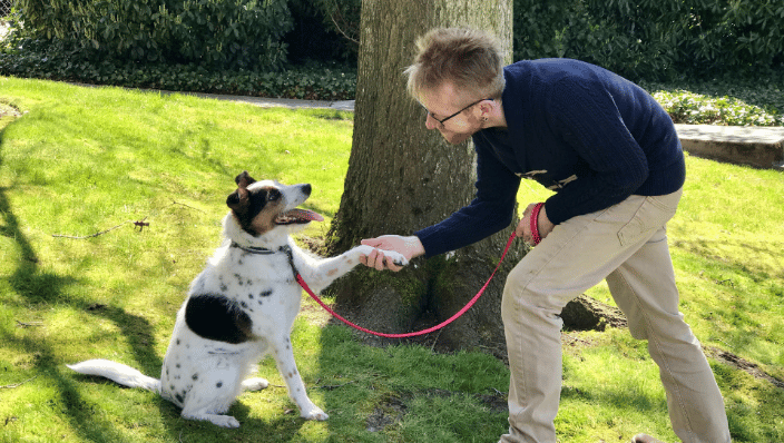Teaching shake