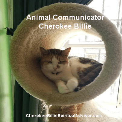 Animal Communicator Cherokee Billie