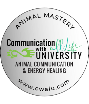 CWALU AMP Grad Seal