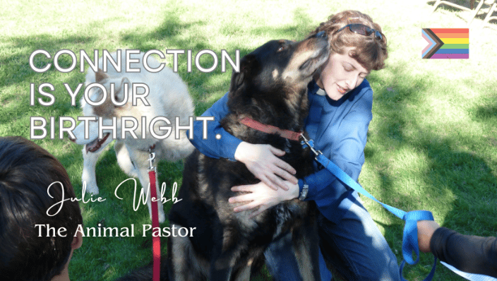 Animal Pastor Website Cover