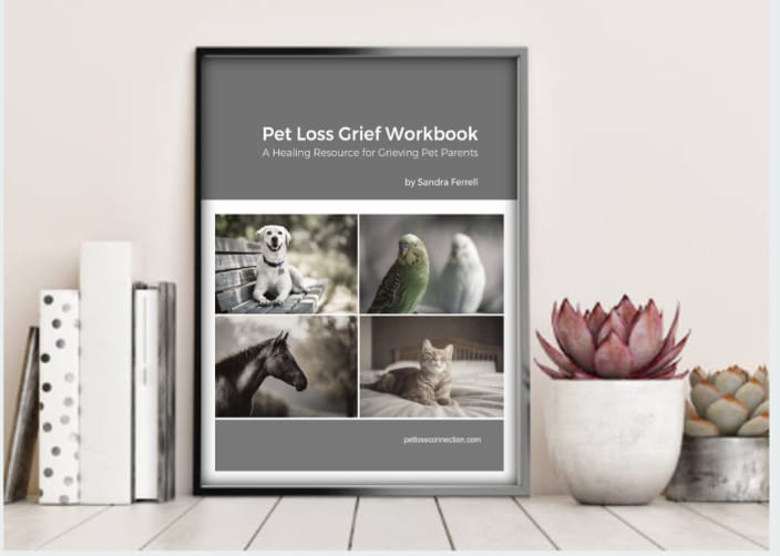 Pet Loss Grief Workbook