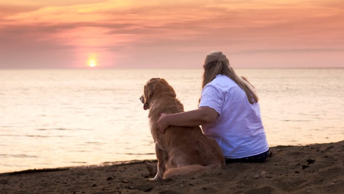 dog mom and dog at sunset on the beach