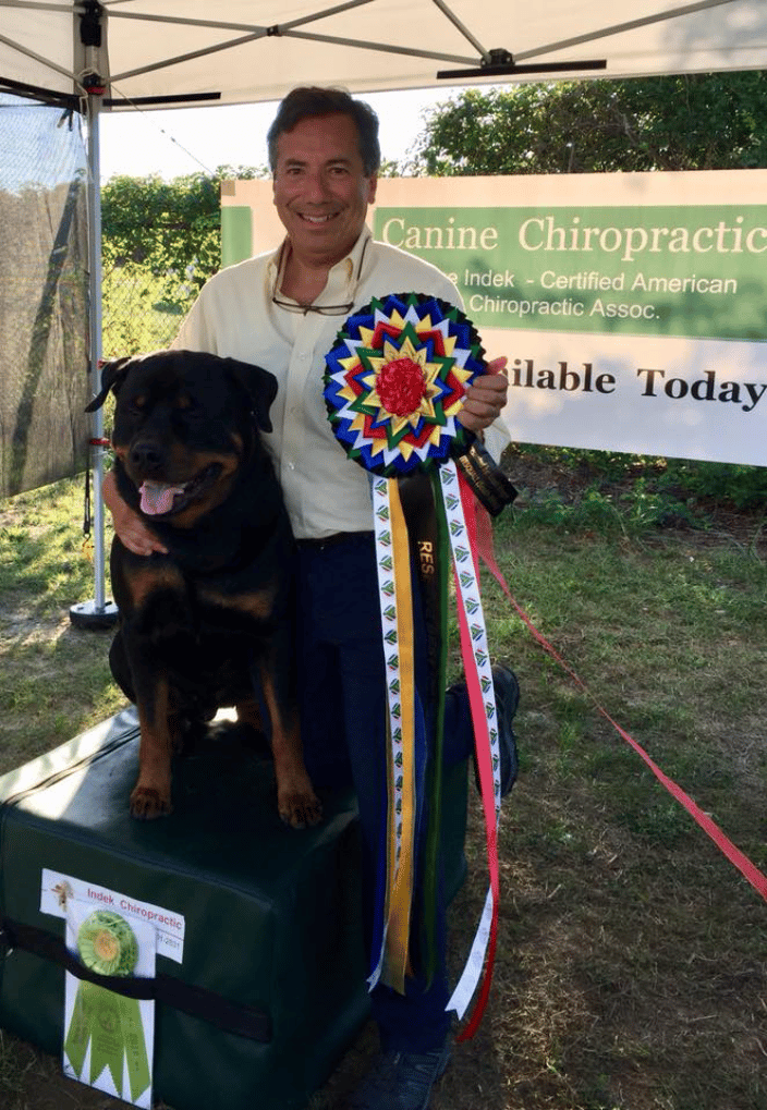 Dr Bruce and his dog patient
