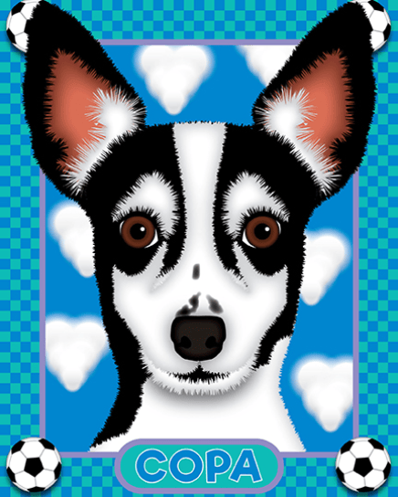 DOG