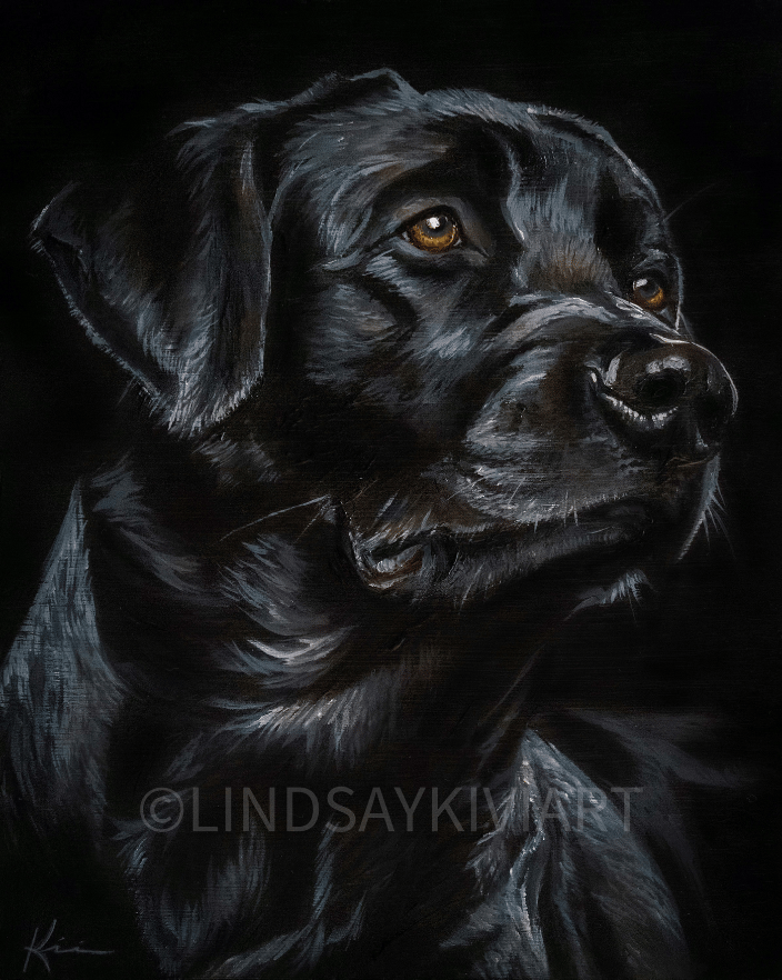 Black Lab
