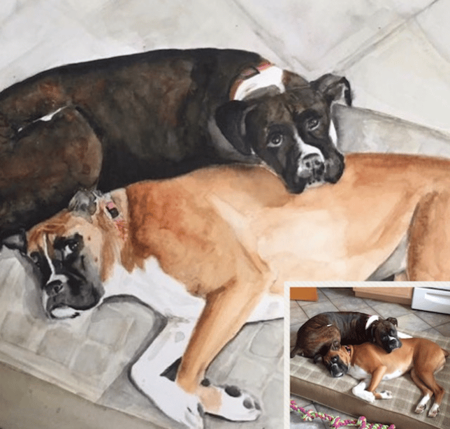 Cooper and Adele Boxers