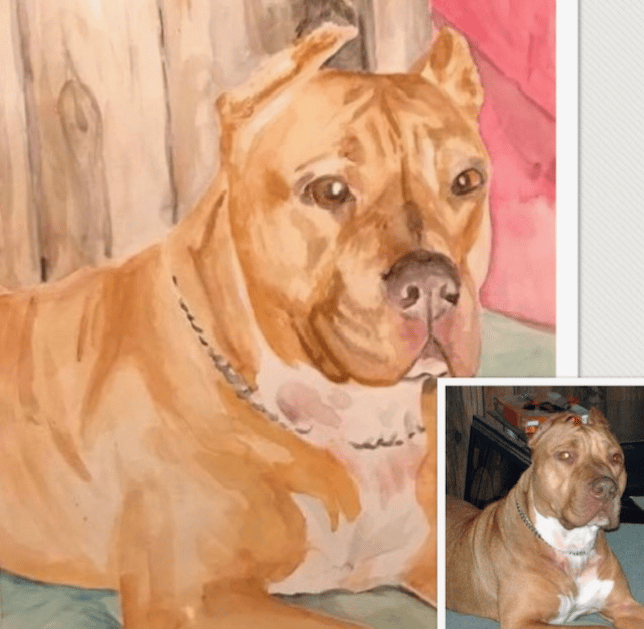 JaJa the Pitbull