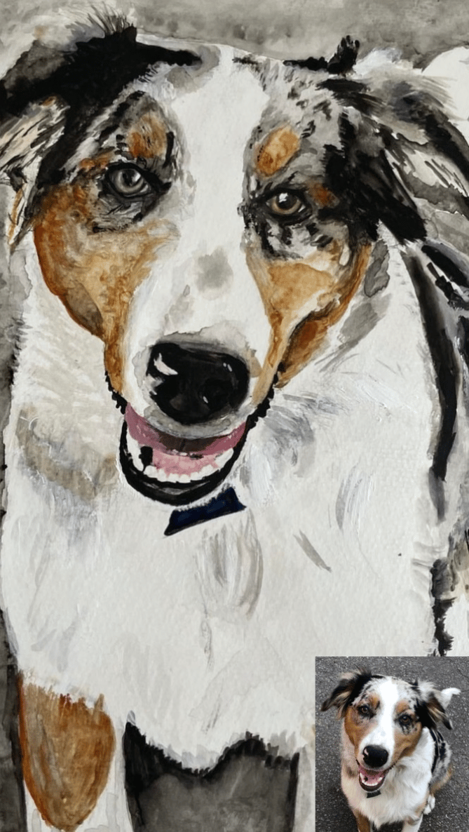 Dixie the Aussie