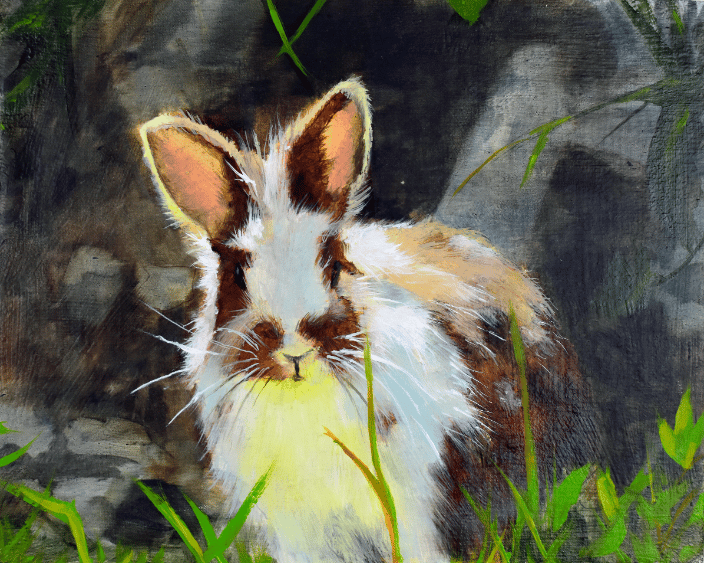 Rabbit