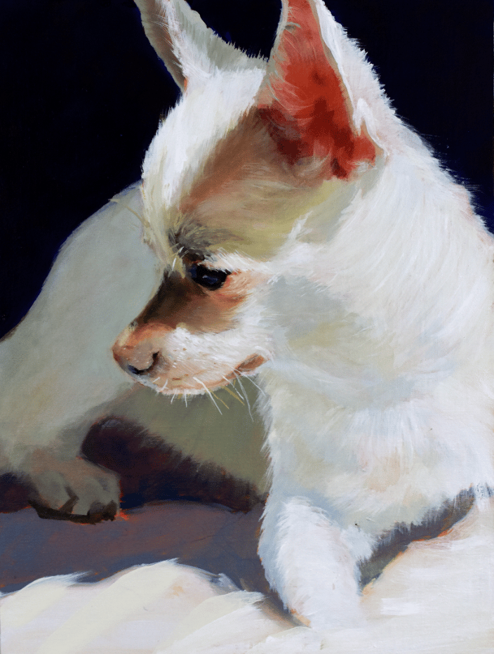 Dog