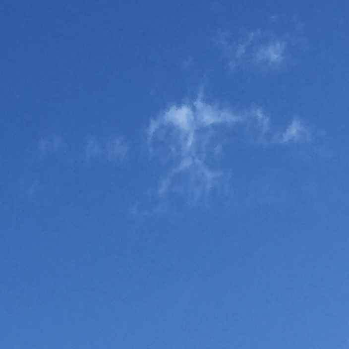 Fluffy in the clouds