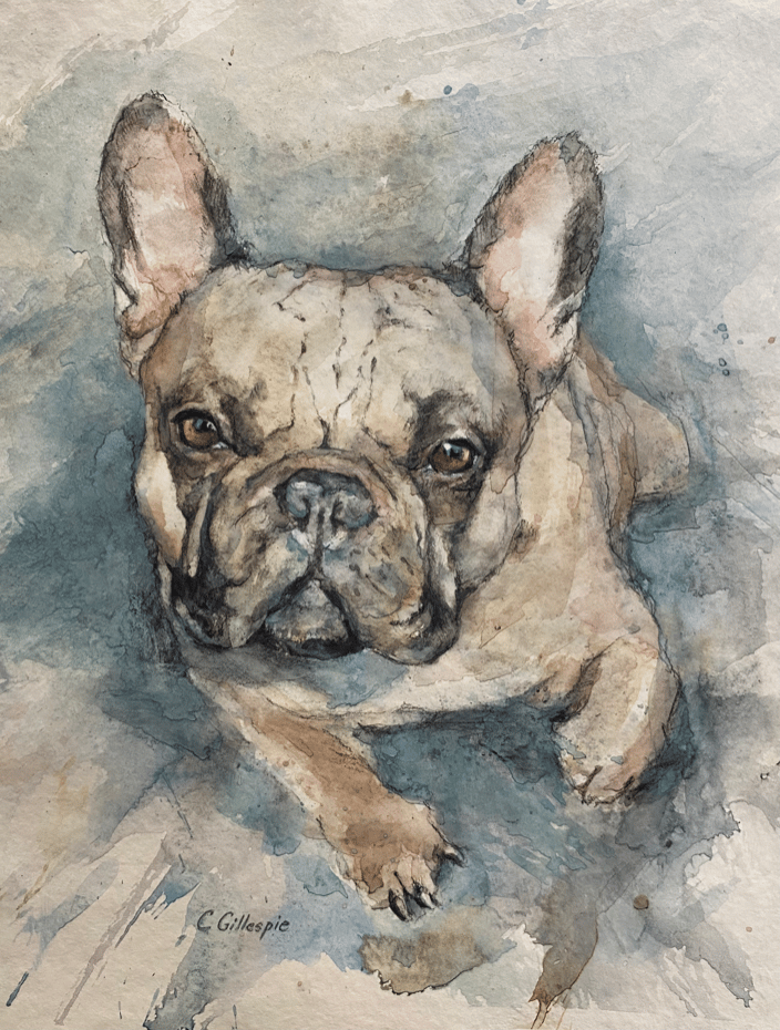 Enzo