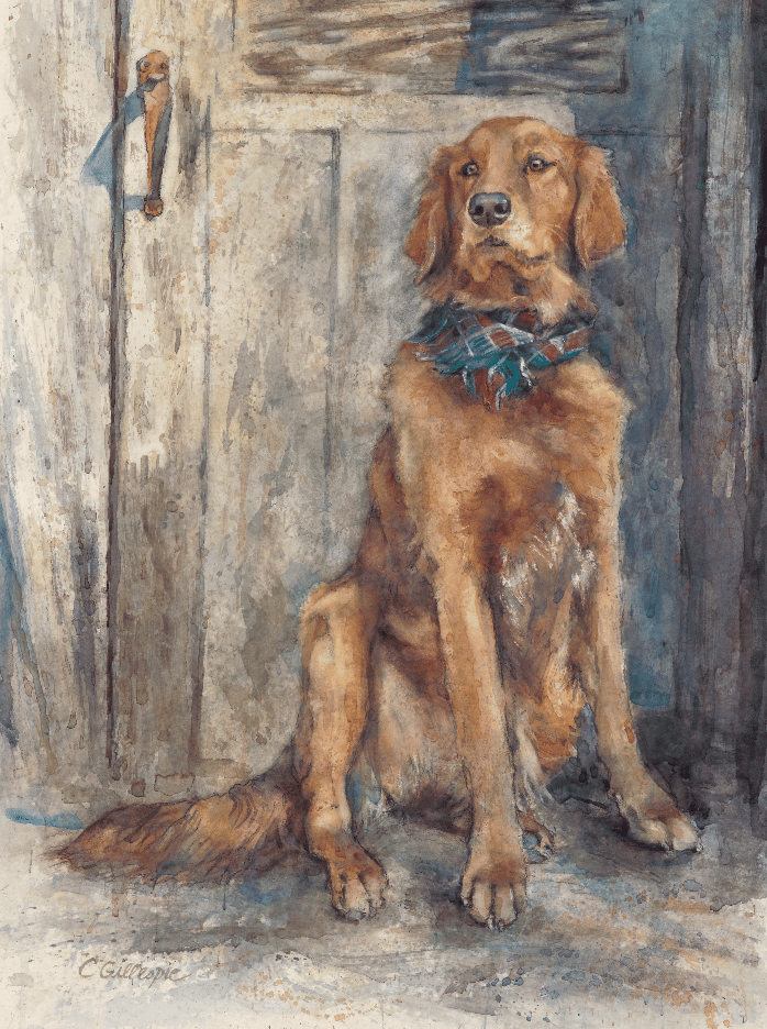Farmdog