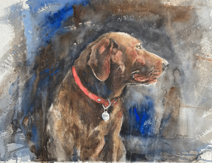 Koda