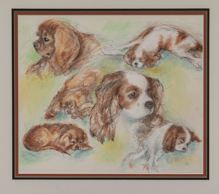 “ Abbey and Rambo “ Pencil