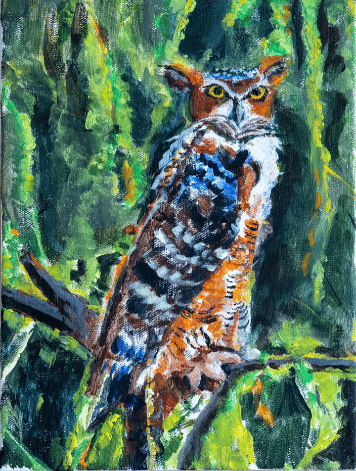 Great Horned Owl