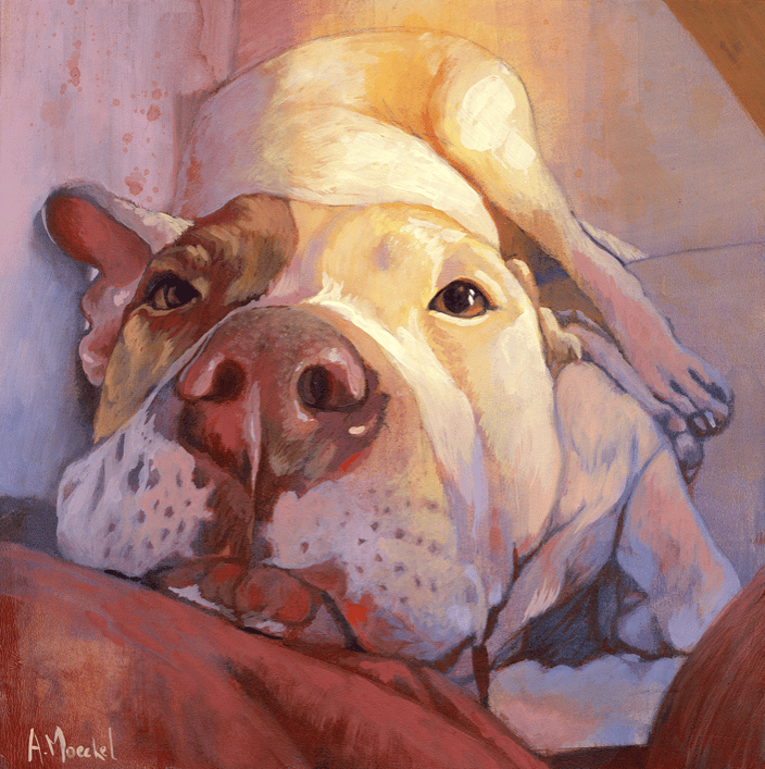 Petey, Mixed Media, 14x14in.