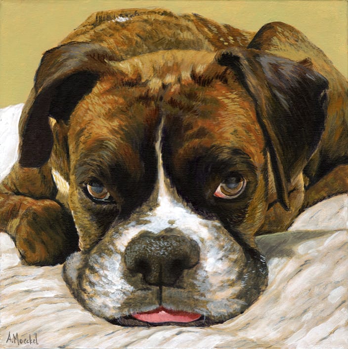 Bosley, Extreme Close-Up, 14x14in.