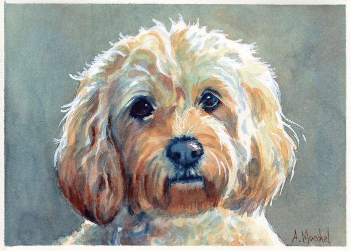 Camden, Technicolor, 5x7in.