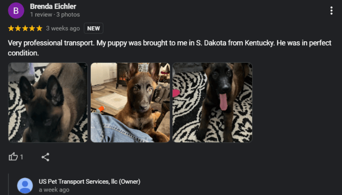 Reviews