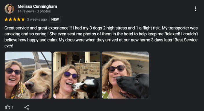 Reviews