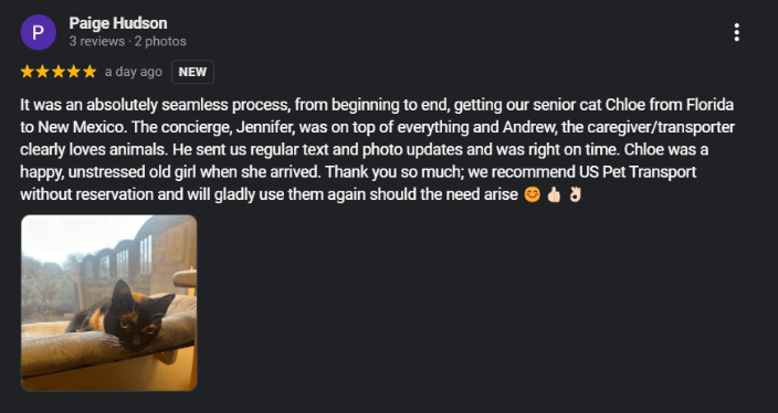 Reviews