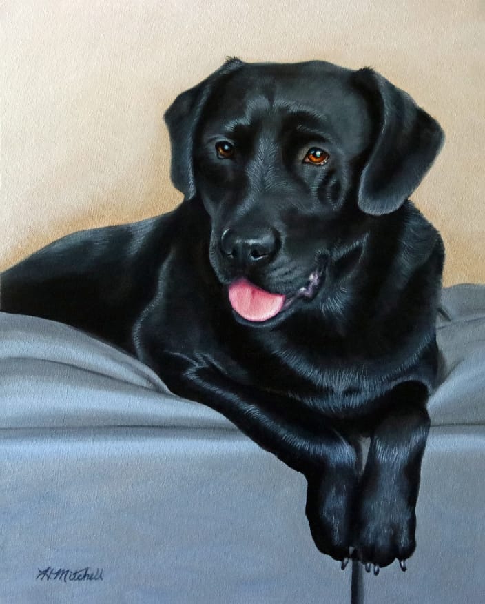 This beautiful black labrador retriever portrait is a 16" x 20" acrylic painting by artist Heather A. Mitchell. 