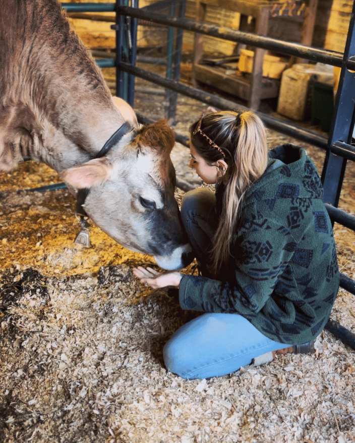 Florence, of Sunstone Orchard & Rabbitry receiving a Reiki treatment. 