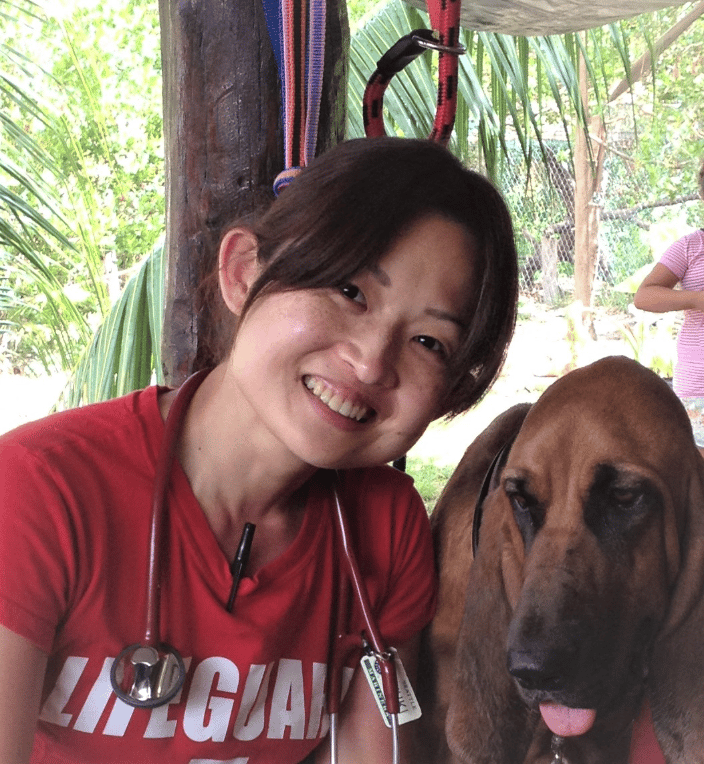Spay Neuter Volunteer
