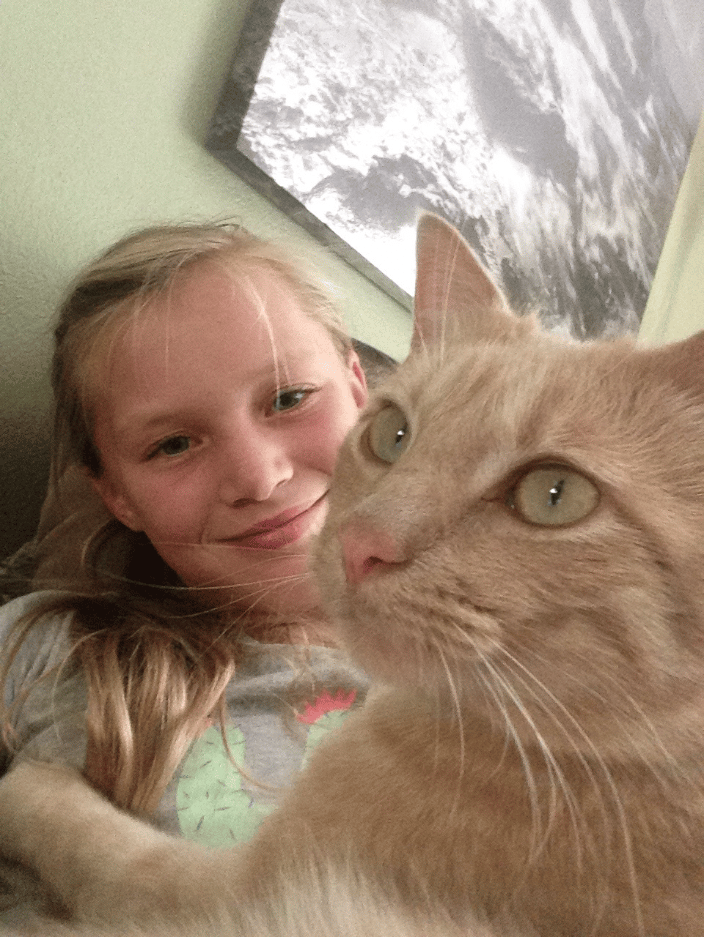 Cat Care