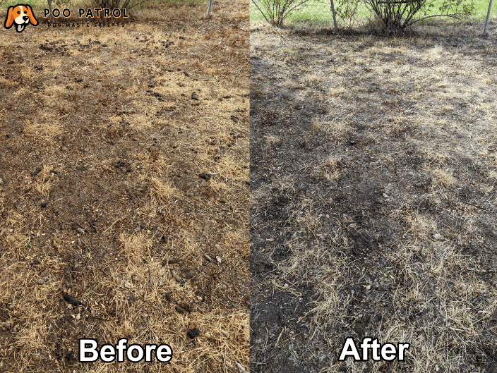 Before and After