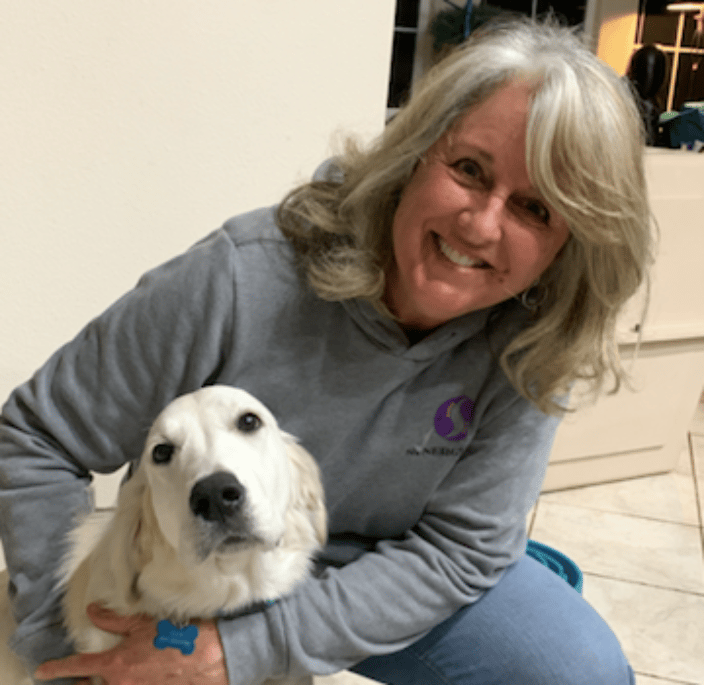 Owner and lead trainer