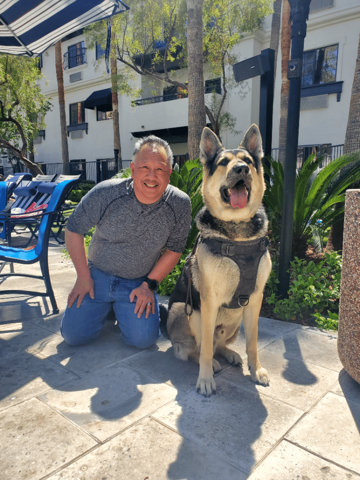 Cusco Service dog that could not sit