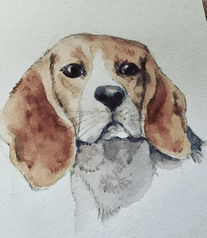 Beagle 