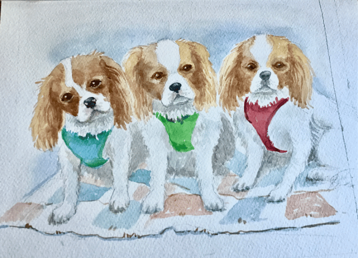 Three Cavalier King Charles Spaniels 