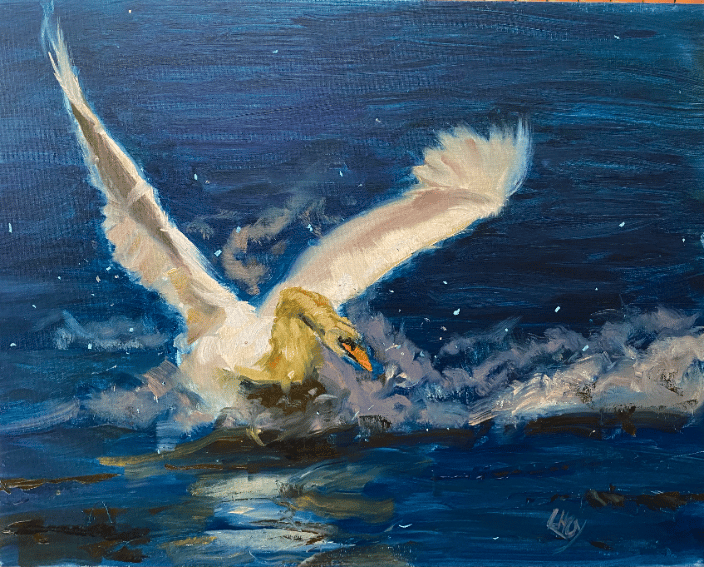 Swan Landing