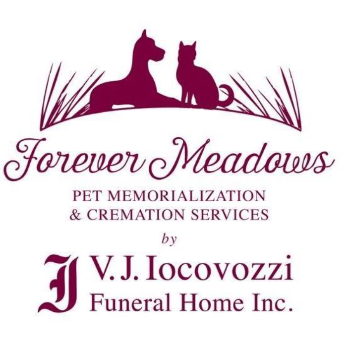 our logo