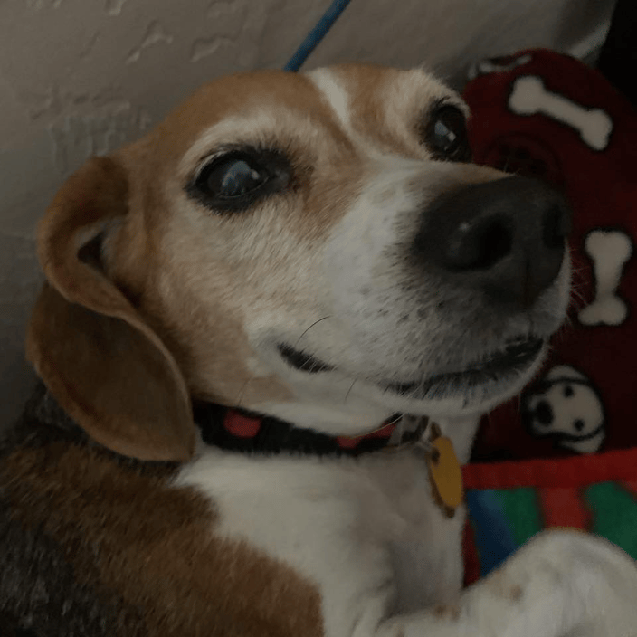 Lady Bug smiles